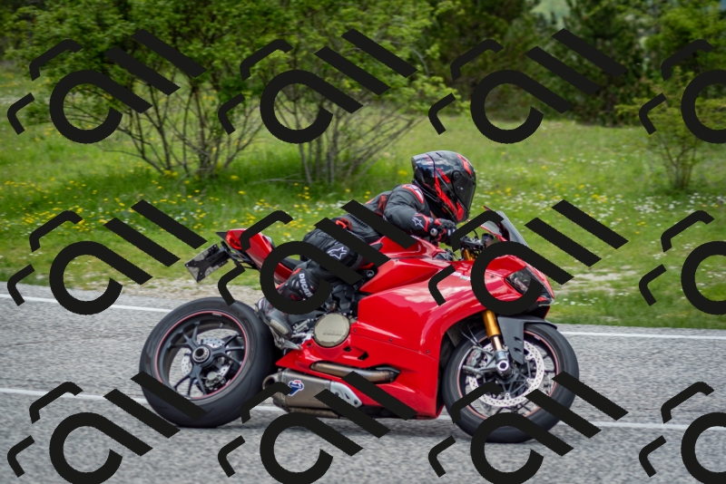 202505181236-DSC_0012_c2