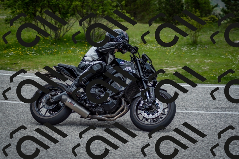 202505181237-DSC_0016_c2