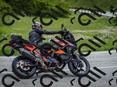 202505181237-DSC_0032_c2