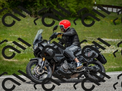 202505181237-DSC_0037_c2