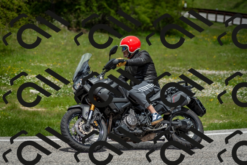 202505181237-DSC_0037_c2