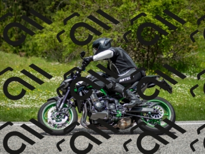 202505181237-DSC_0041_c2