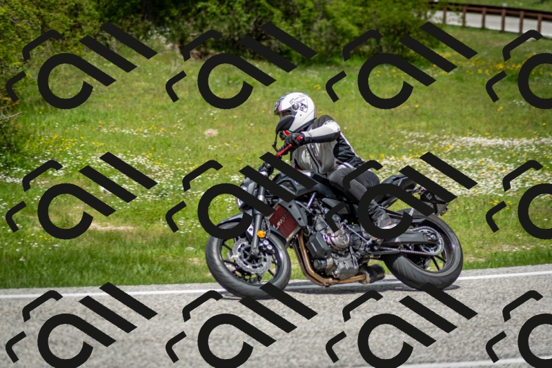 202505181237-DSC_0045_c2