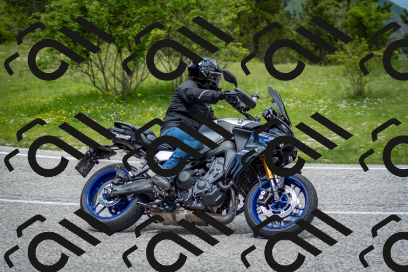 202505181239-DSC_0056_c2