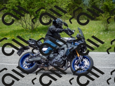 202505181239-DSC_0056_c2