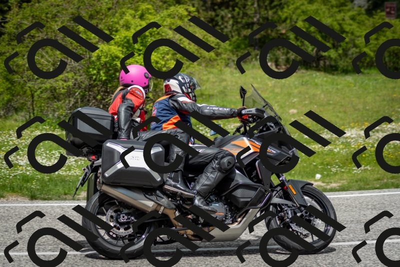 202505181240-DSC_0069_c2