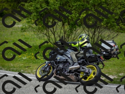 202505181241-DSC_0079_c2