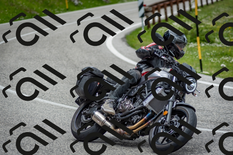 202505181242-DSC_0083_c2