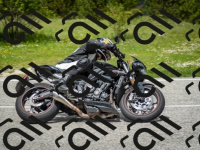 202505181243-DSC_0088_c2