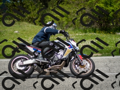 202505181243-DSC_0094_c2