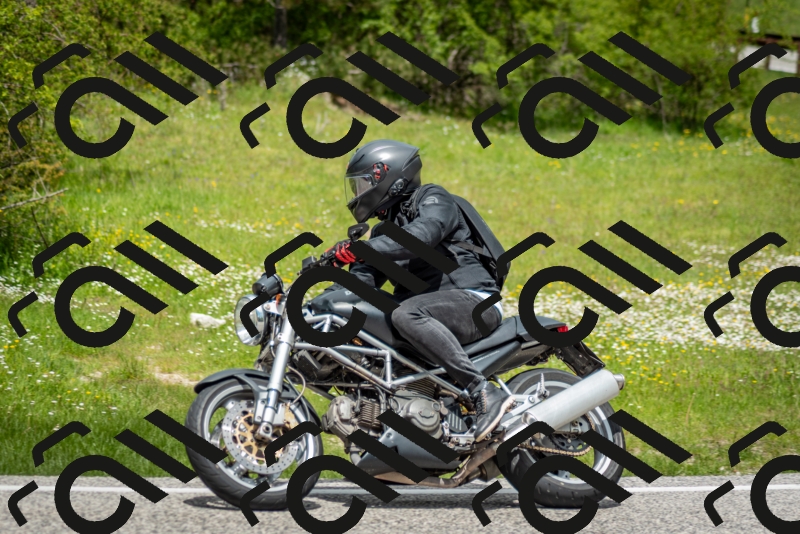 202505181243-DSC_0100_c2