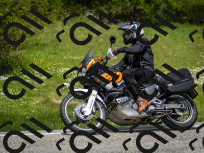 202505181243-DSC_0103_c2