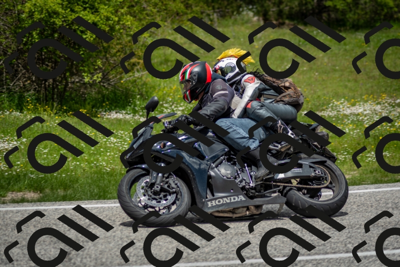 202505181244-DSC_0112_c2