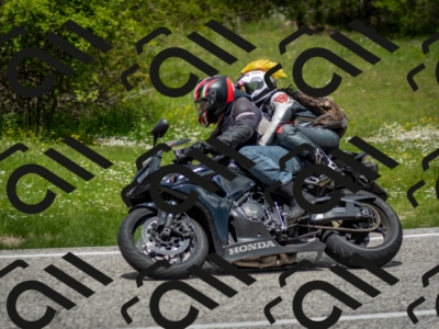 202505181244-DSC_0112_c2