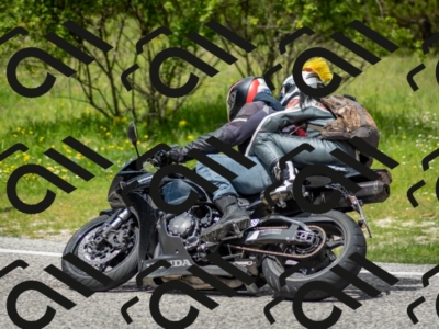 202505181244-DSC_0113_c2