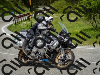 202505181244-DSC_0115_c2