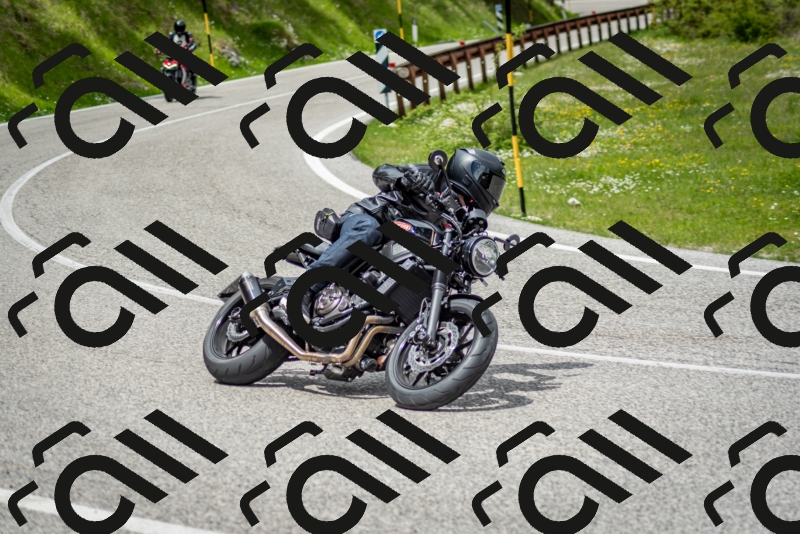 202505181244-DSC_0121_c2