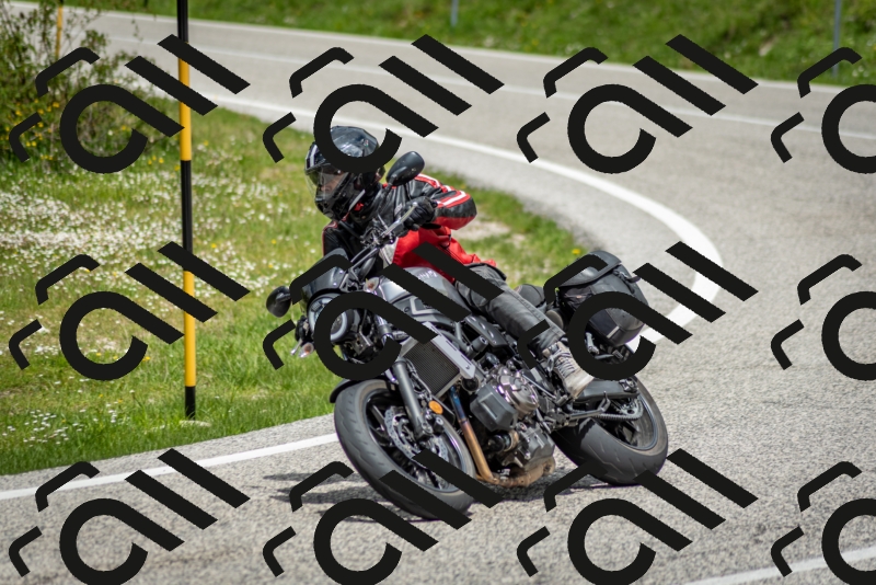 202505181244-DSC_0126_c2