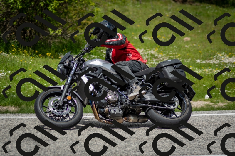 202505181244-DSC_0127_c2