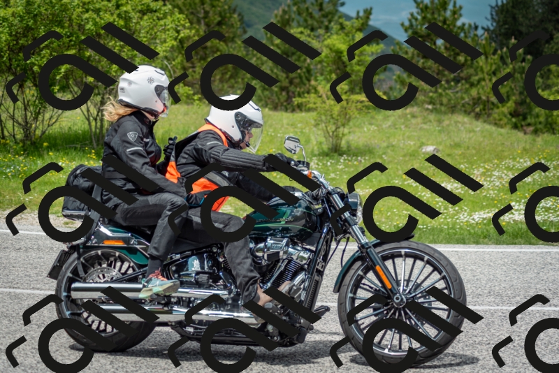 202505181245-DSC_0149_c2