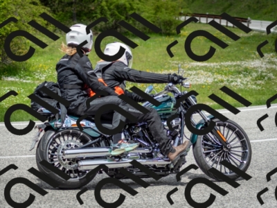 202505181245-DSC_0150_c2