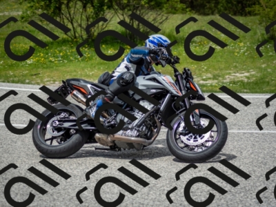 202505181247-DSC_0156_c2