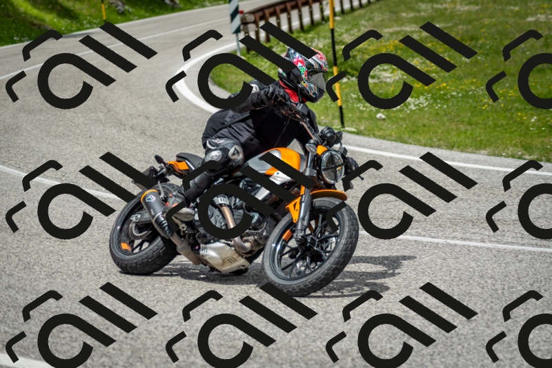 202505181247-DSC_0158_c2