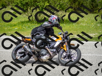 202505181247-DSC_0159_c2