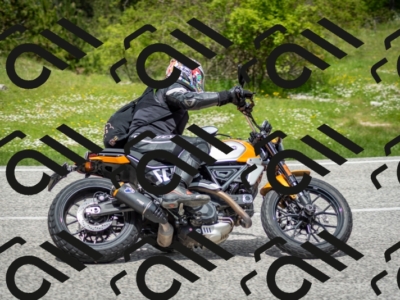 202505181247-DSC_0160_c2