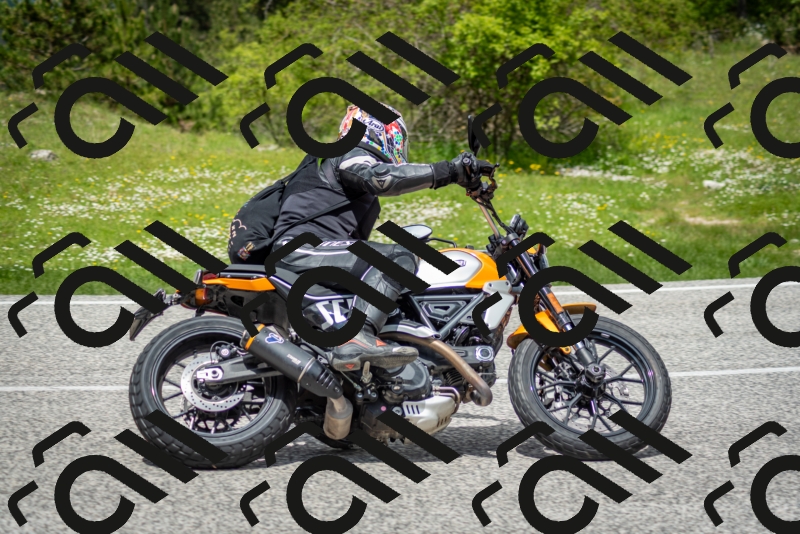 202505181247-DSC_0160_c2