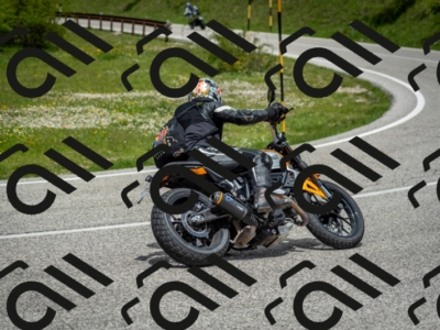 202505181247-DSC_0161_c2