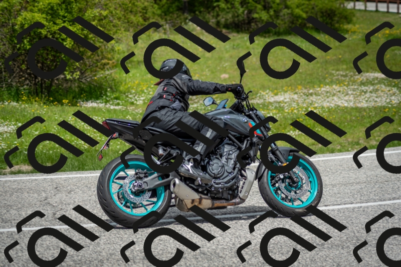 202505181248-DSC_0165_c2