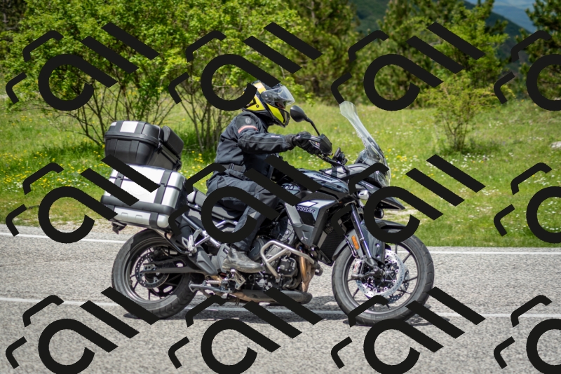 202505181248-DSC_0167_c2