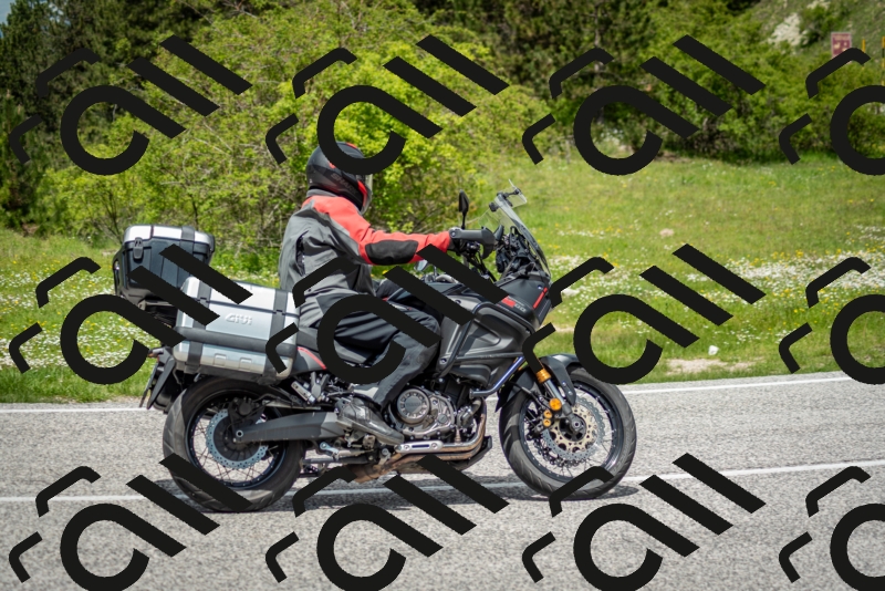 202505181248-DSC_0171_c2