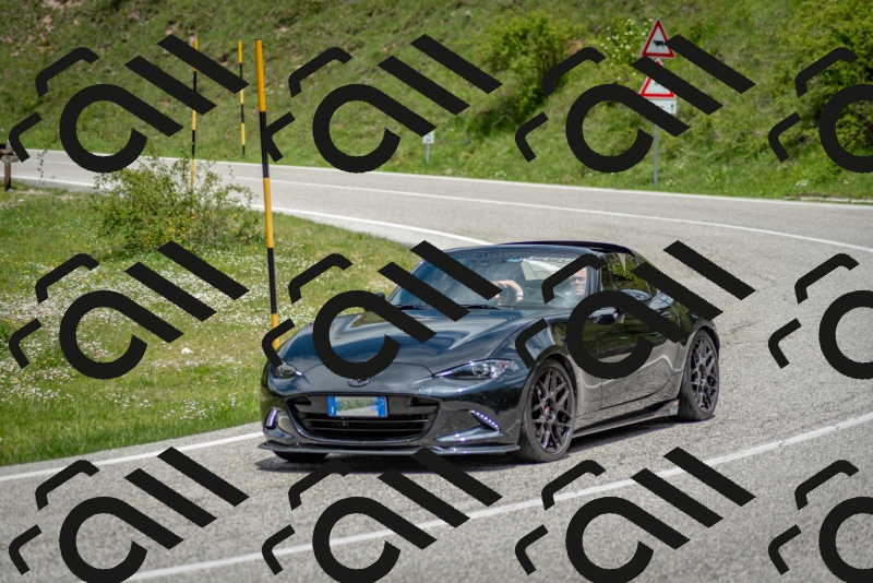 202505181250-DSC_0172_c2