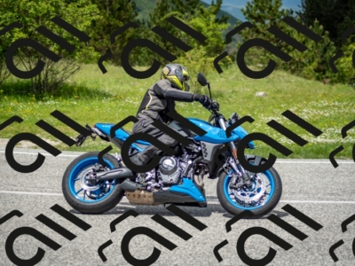 202505181250-DSC_0176_c2