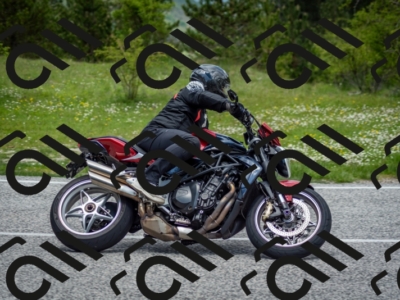 202505181251-DSC_0187_c2