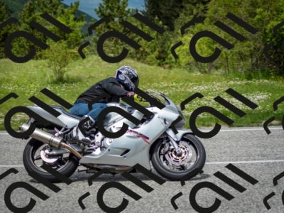 202505181252-DSC_0204_c2