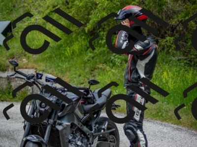 202505181253-DSC_0211_c2