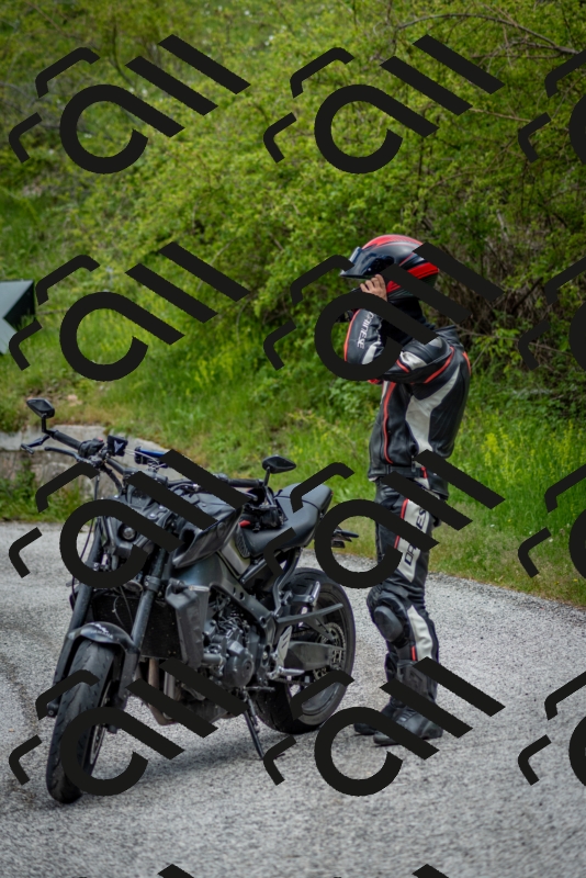 202505181253-DSC_0211_c2