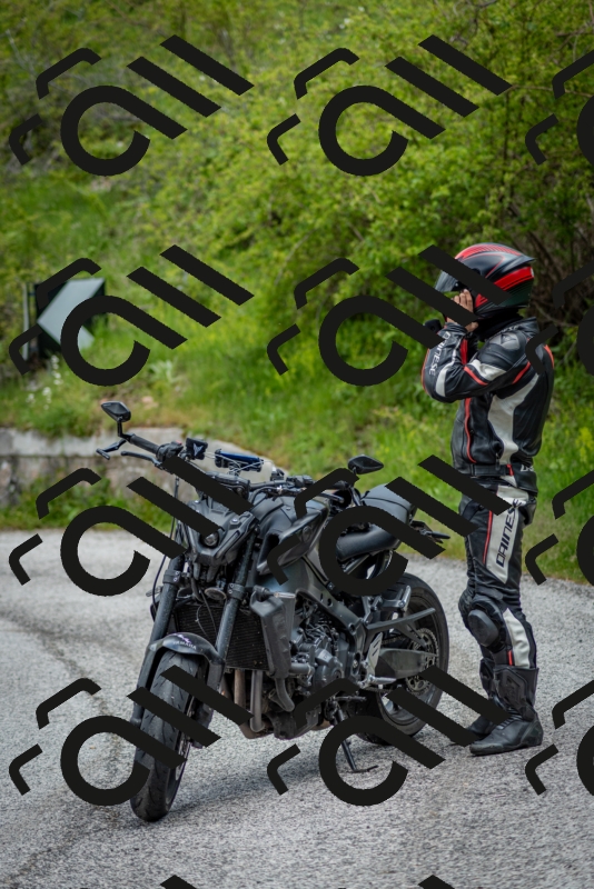 202505181253-DSC_0212_c2