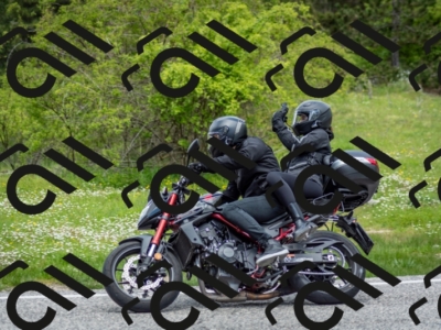 202505181253-DSC_0215_c2