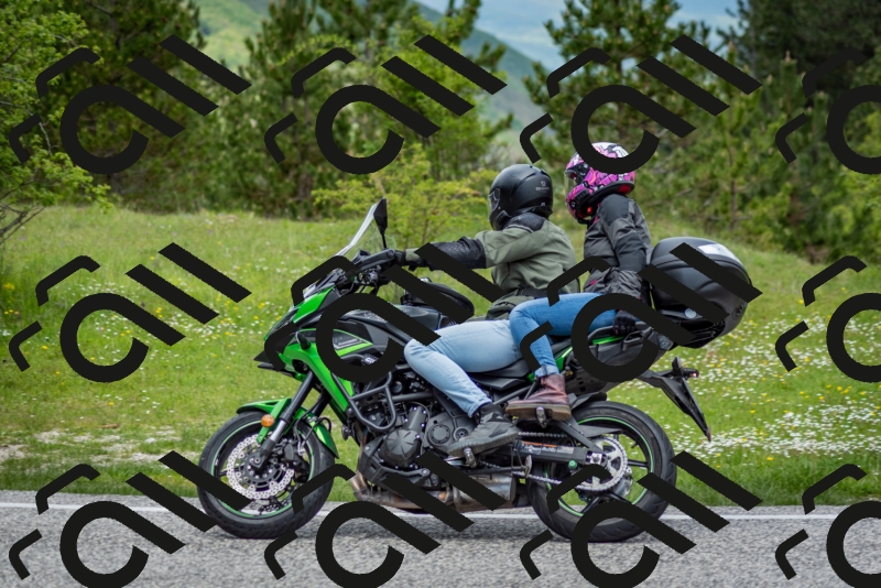 202505181253-DSC_0218_c2