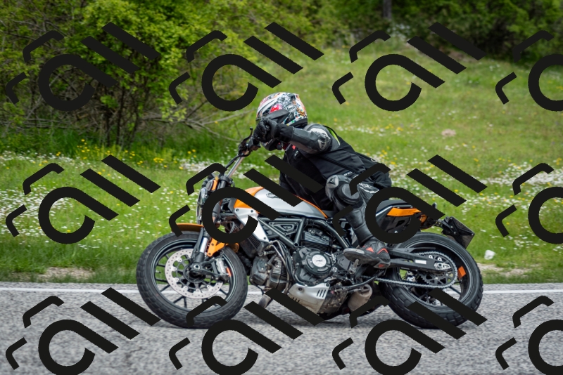 202505181253-DSC_0220_c2