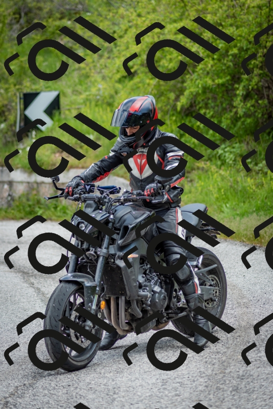 202505181253-DSC_0222_c2