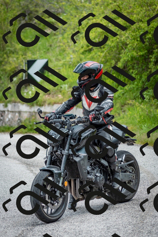 202505181253-DSC_0223_c2