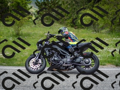 202505181256-DSC_0253_c2