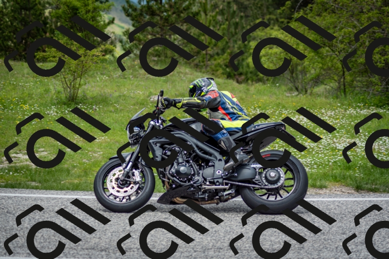 202505181256-DSC_0253_c2