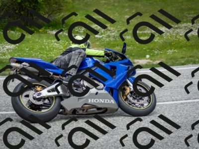 202505181256-DSC_0257_c2