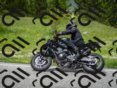 202505181259-DSC_0276_c2